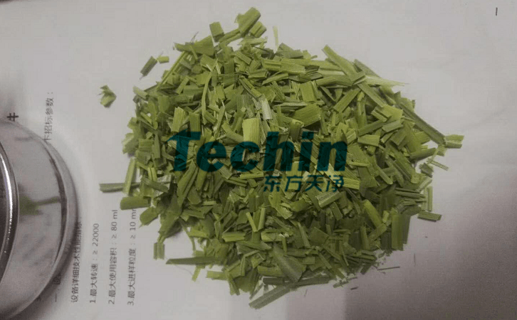 水稻葉子糟老头视频下载污污污前