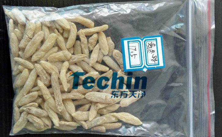 麥冬糟老头视频下载污污污前