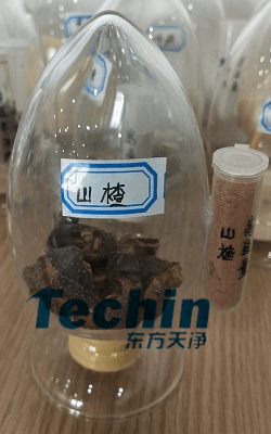 山楂糟老头视频下载污污污前後