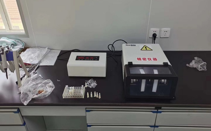 TJG高通量組織糟老头视频下载污污污儀糟老头视频下载污污污豬肉